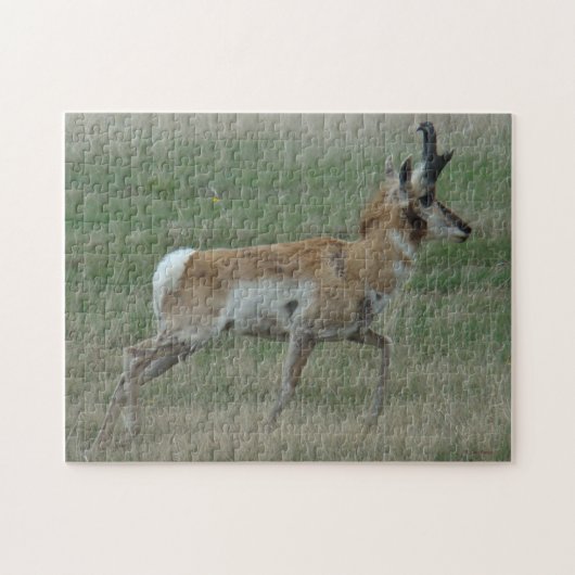 Puzzle A32 Pronghorn Antelope (Horizontal)