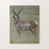 Puzzle A37 Pronghorn Antelope (Vertical)