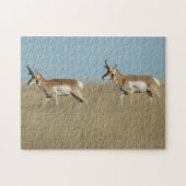 Puzzle A45 Pronghorn Antelope Bucks (Horizontal)