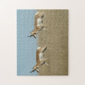 Puzzle A45 Pronghorn Antelope Bucks (Vertical)