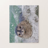 Puzzle A baby seal surfing (Vertical)