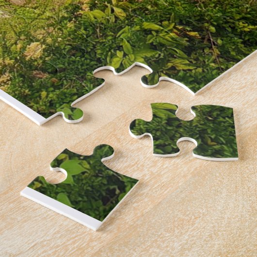 Puzzle A Costal paradise. (Côté)