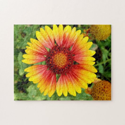 Puzzle à fleurs (Horizontal)