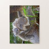 Puzzle A Koala mother and baby in a tree (Vertical)