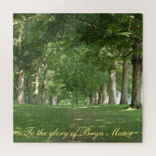 Puzzle À la gloire de Bryn Mawr Senior Row