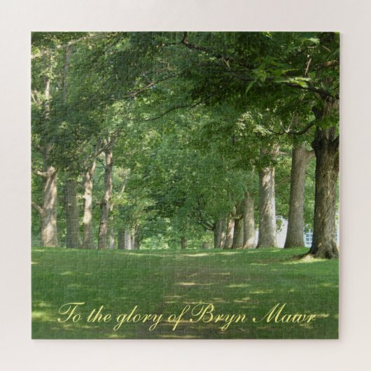 Puzzle À la gloire de Bryn Mawr Senior Row (Horizontal)