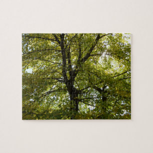 Puzzle À l'intérieur d'un érable jaune automne