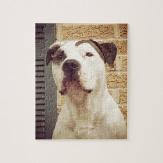 Puzzle À l'os de pitbull