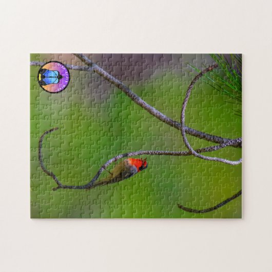 Puzzle à tête rouge (Horizontal)