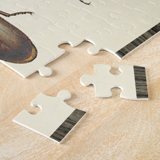 Puzzle à trois insectes (Côté)