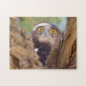 Puzzle A White Breasted Snake (Horizontal)