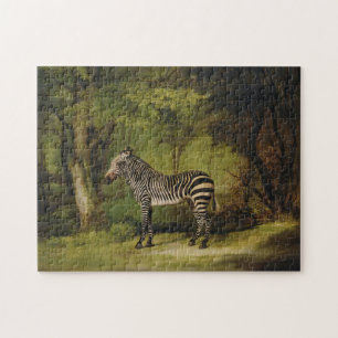 Puzzle A Zebra, 1763 (huile sur toile)