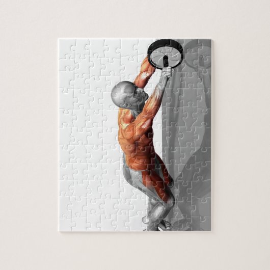 Puzzle Ab Wheel (Vertical)