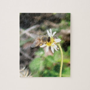 Puzzle Abeille à Miel Pollinisatrice sur Fleur de Marguer