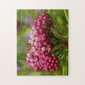 Puzzle abeille à miel sur Narrowleaf Milkweed (Vertical)