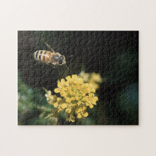 Puzzle abeille de miel