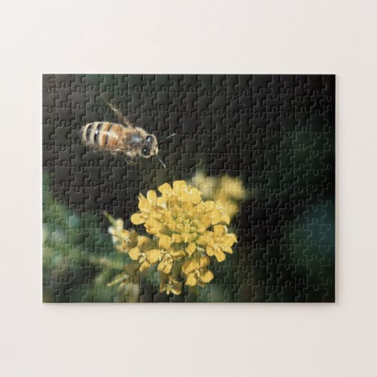 Puzzle abeille de miel (Horizontal)