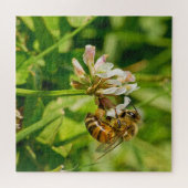 Puzzle Abeille de miel et trèfle (Horizontal)