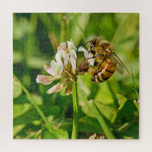 Puzzle Abeille de miel et trèfle (Vertical)