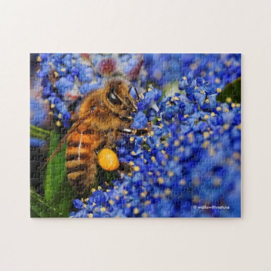 Puzzle Abeille de miel : Pollinateur Lilac de Californie  (Horizontal)