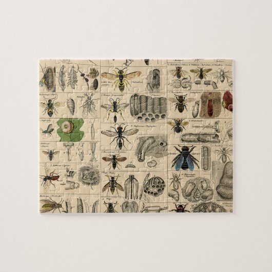 Puzzle Abeille Insecte Bug Wasp Nature Peinture des abeil (Horizontal)