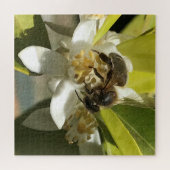 Puzzle Abeille sur la fleur de citron (Horizontal)