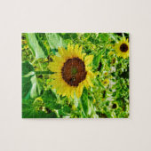 Puzzle Abeille sur tournesol jaune (Horizontal)