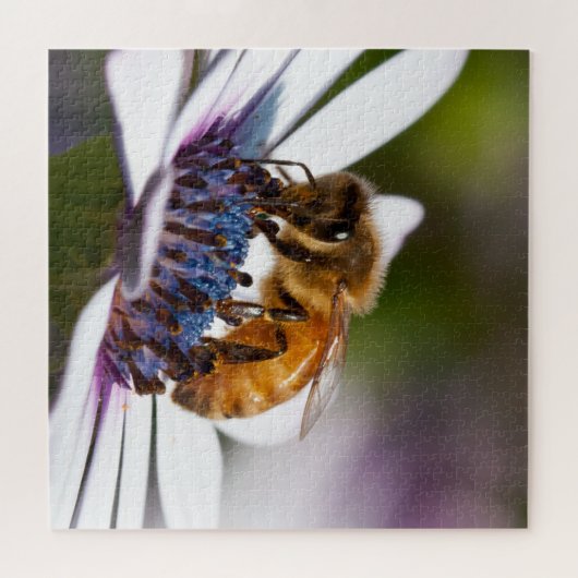 Puzzle Abeille sur une fleur (Horizontal)