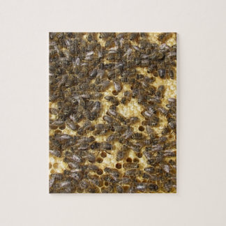Puzzle Abeilles de miel partout