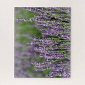 Puzzle Abeilles de miel sur les fleurs de lavande (Vertical)