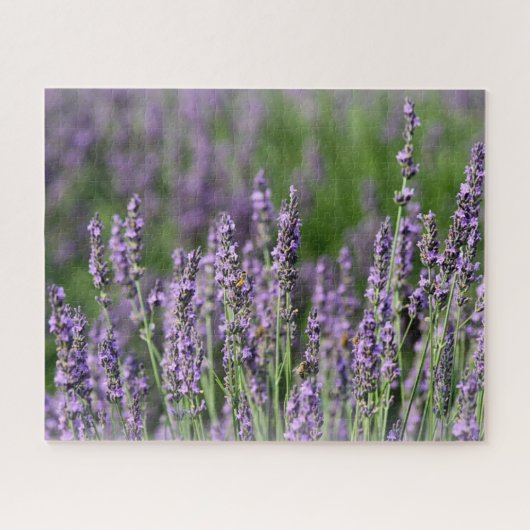 Puzzle Abeilles de miel sur les fleurs de lavande (Horizontal)