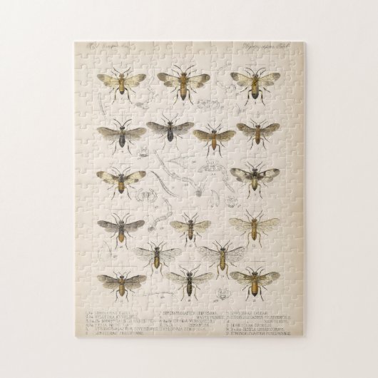 Puzzle Abeilles et guêpes de Cameron 1883-1890 (Vertical)