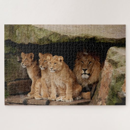 Puzzle Abrite de la pluie (Horizontal)