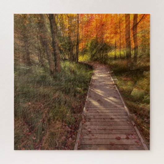 Puzzle Acadia National Park Dans L'Instant (Vertical)