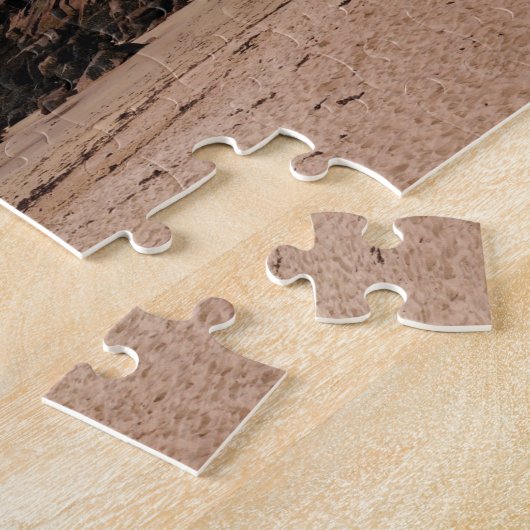 Puzzle Acadia Sand Beach (Côté)