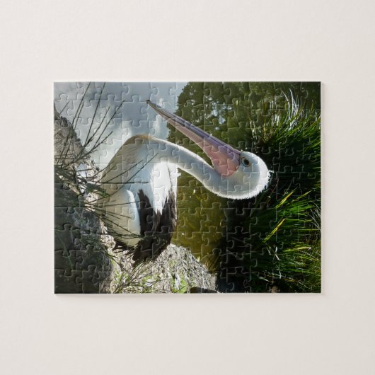 Puzzle Accessoires de pélican (Horizontal)