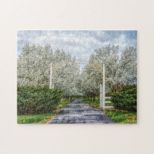 Puzzle Accueil du lecteur Spring