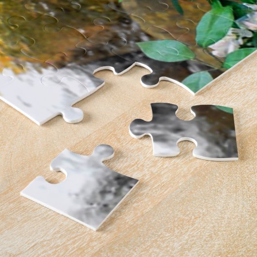 Puzzle "Acorn" (Côté)