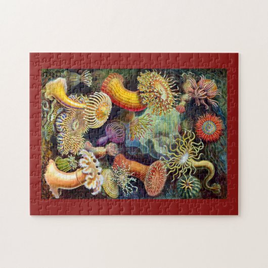 Puzzle Actiniae par Ernst Haeckel (Horizontal)