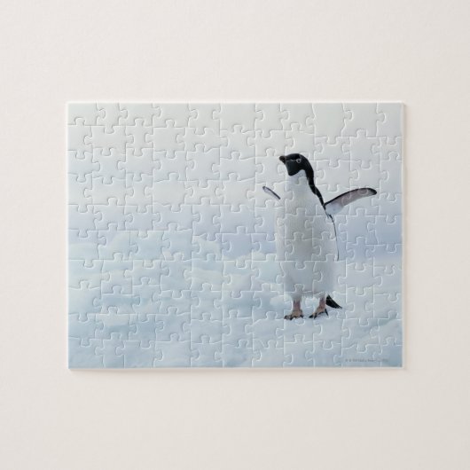 Puzzle Adelie pingouin, Antarctique (Horizontal)