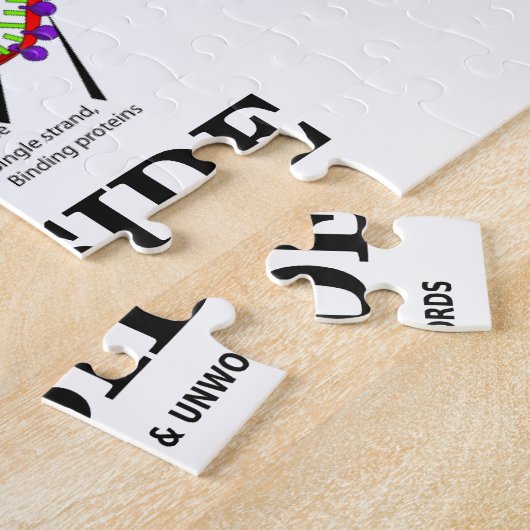 Puzzle ADN de qualité à l'intérieur (réplication de l'ADN (Côté)