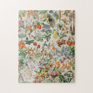 Puzzle Adolphe Millot