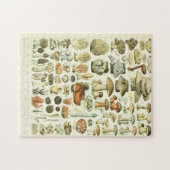 Puzzle Adolphe Millot Champignon (Horizontal)