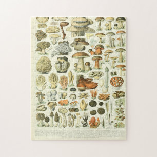 Puzzle Adolphe Millot Champignon