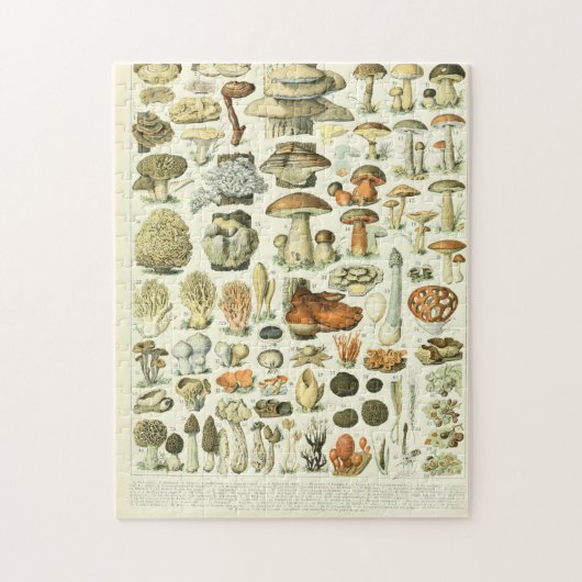 Puzzle Adolphe Millot Champignon (Vertical)