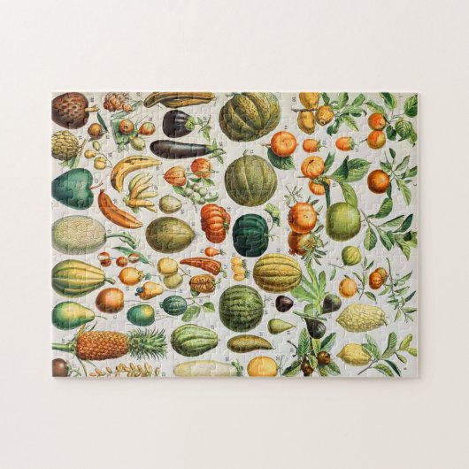 Puzzle Adolphe Millot fruits B (Horizontal)