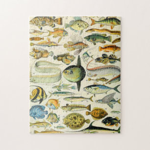 Puzzle Adolphe Millot poisson A