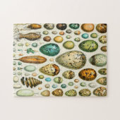 Puzzle Adolphe oeufs Millot (Horizontal)