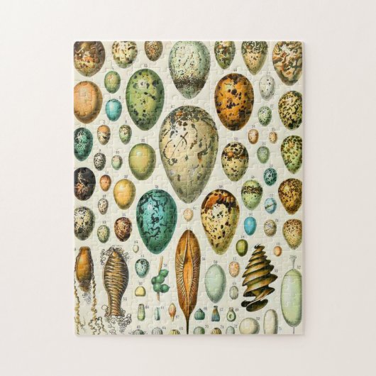 Puzzle Adolphe oeufs Millot (Vertical)