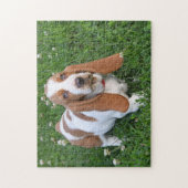 Puzzle Adorable Basset Hound Puppy (Vertical)